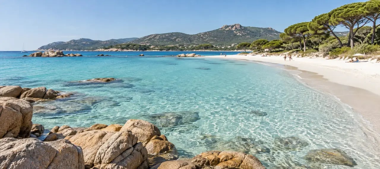 Palombaggia parmi les plages de Corse-du-Sud, sable blanc, eau turquoise et pins parasols